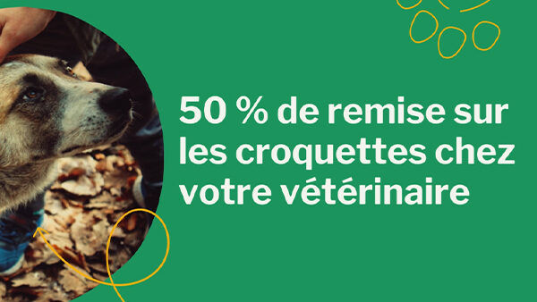 Affichage dynamique vétérinaire : boucle d'affichage dynamique