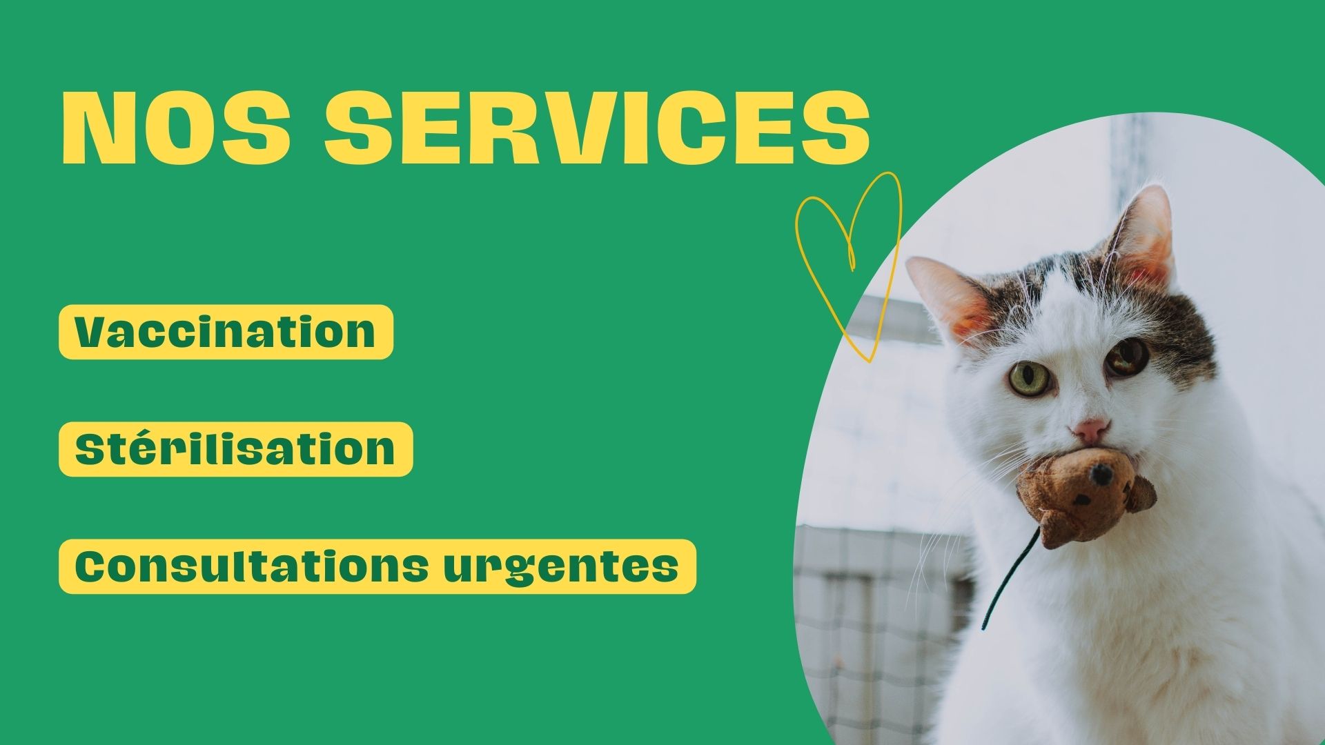 Affichage dynamique vétérinaire : écran des services proposés