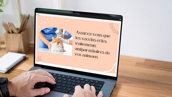 Affichage dynamique vétérinaire : mise en ligne contenu