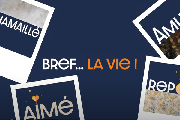 motion design communication visuelle : exemple de création de vidéo animée pour Secondly